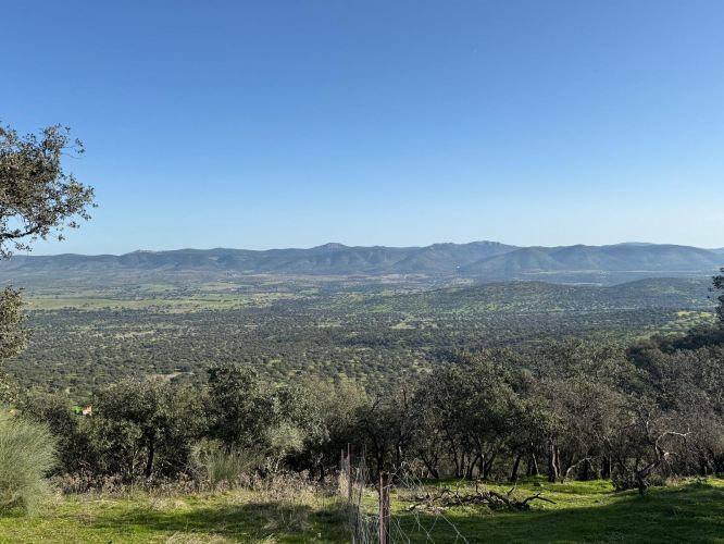 MAGNÍFICA FINCA A UN MINUTO DE VILLANUEVA DEL REY, CÓRDOBA