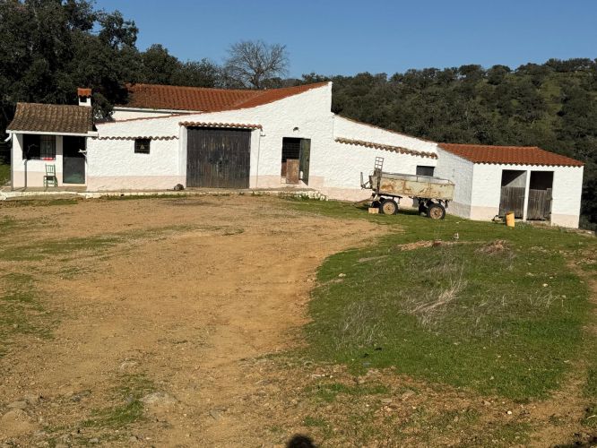 MAGNÍFICA FINCA A UN MINUTO DE VILLANUEVA DEL REY, CÓRDOBA