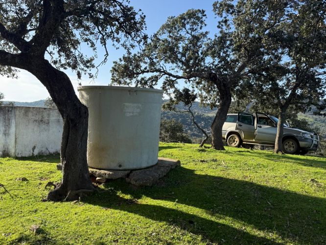 MAGNÍFICA FINCA A UN MINUTO DE VILLANUEVA DEL REY, CÓRDOBA