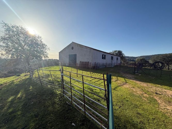 MAGNÍFICA FINCA A UN MINUTO DE VILLANUEVA DEL REY, CÓRDOBA