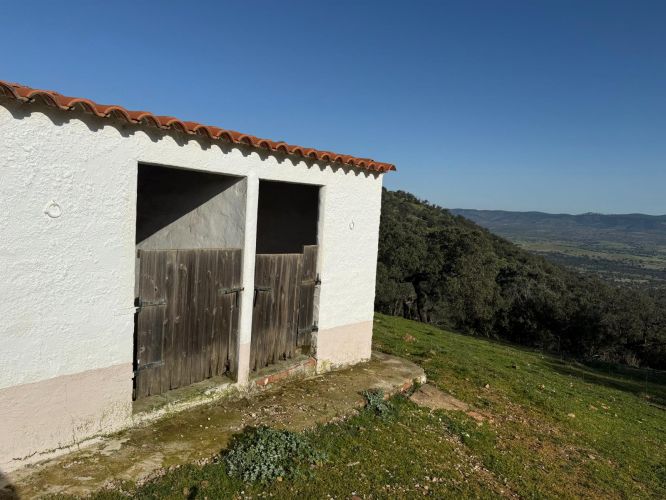 MAGNÍFICA FINCA A UN MINUTO DE VILLANUEVA DEL REY, CÓRDOBA