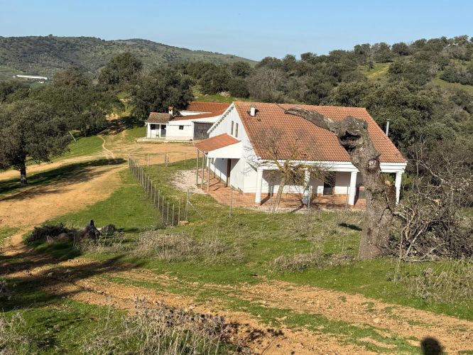 MAGNÍFICA FINCA A UN MINUTO DE VILLANUEVA DEL REY, CÓRDOBA