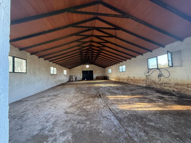 MAGNÍFICA FINCA A UN MINUTO DE VILLANUEVA DEL REY, CÓRDOBA