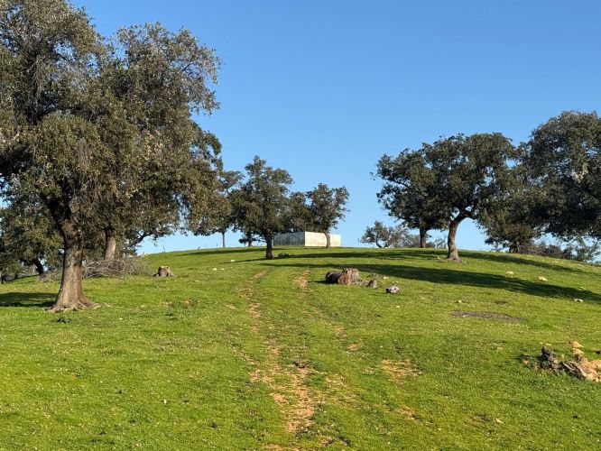 MAGNÍFICA FINCA A UN MINUTO DE VILLANUEVA DEL REY, CÓRDOBA