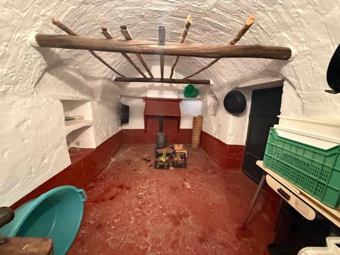 MAGNÍFICA FINCA A UN MINUTO DE VILLANUEVA DEL REY, CÓRDOBA