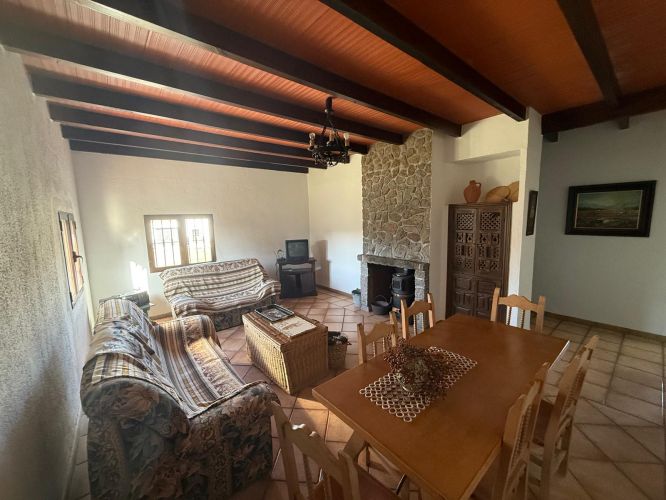 MAGNÍFICA FINCA A UN MINUTO DE VILLANUEVA DEL REY, CÓRDOBA