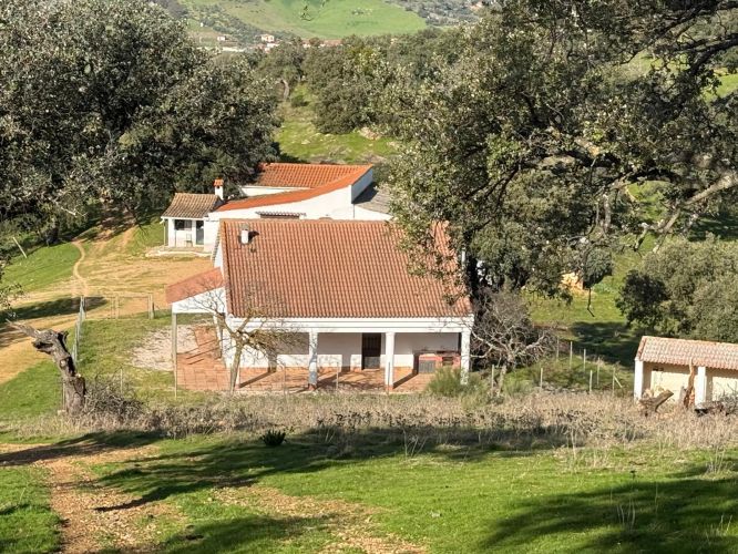 MAGNÍFICA FINCA A UN MINUTO DE VILLANUEVA DEL REY, CÓRDOBA