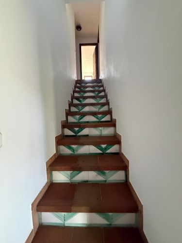 MAGNÍFICA FINCA A UN MINUTO DE VILLANUEVA DEL REY, CÓRDOBA