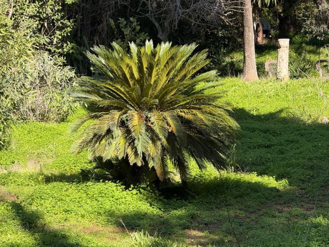 PARCELA IDEAL DE 956 M2 EN EL BRILLANTE