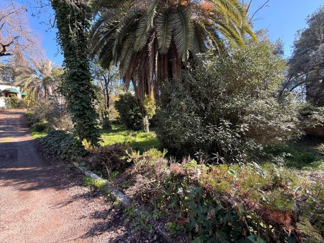 PARCELA IDEAL DE 956 M2 EN EL BRILLANTE