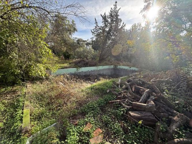 ESTUPENDA PARCELA URBANA A LA VENTA EN ZONA LOS MORALES!