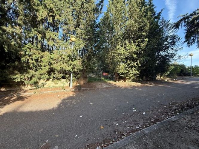 ESTUPENDA PARCELA URBANA A LA VENTA EN ZONA LOS MORALES!