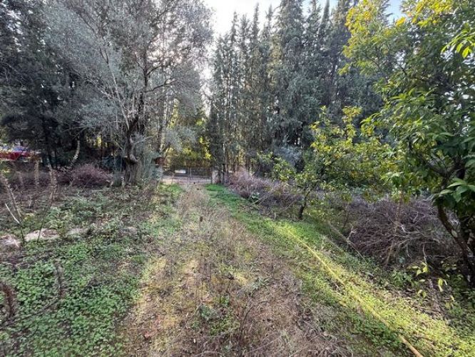 ESTUPENDA PARCELA URBANA A LA VENTA EN ZONA LOS MORALES!