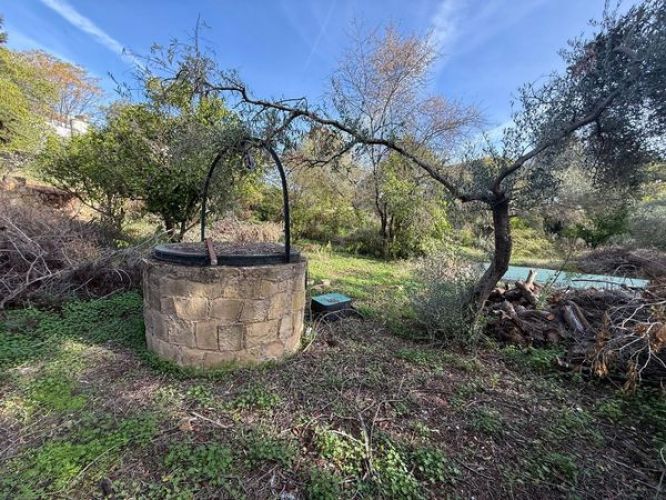 ESTUPENDA PARCELA URBANA A LA VENTA EN ZONA LOS MORALES!