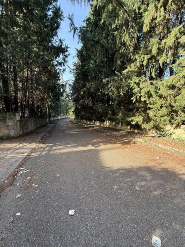 ESTUPENDA PARCELA URBANA A LA VENTA EN ZONA LOS MORALES!