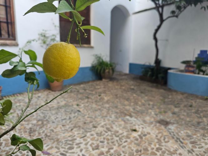 DUPLEX EN PLENA JUDERIA