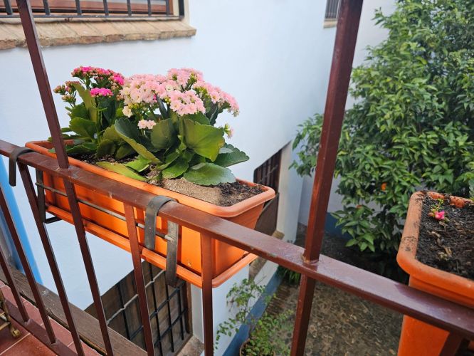 DUPLEX EN PLENA JUDERIA