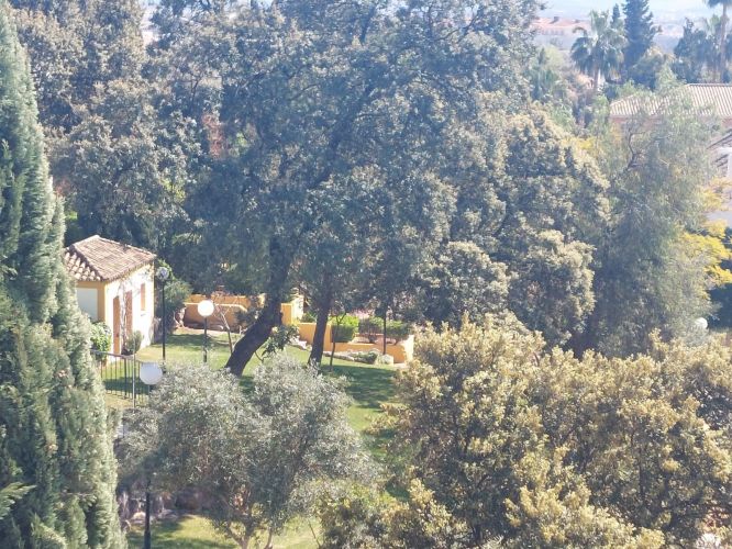 CASA ADOSADA EN EL PATRIARCA