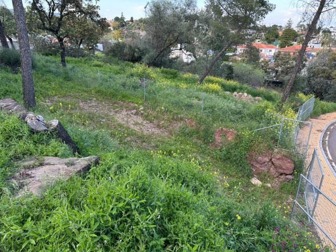 PARCELA URBANIZADA EN EL BRILLANTE