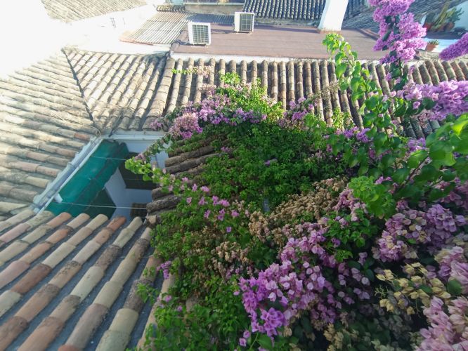 CASA SEÑORIAL EN PLENO CASCO HISTÓRICO DE CÓRDOBA