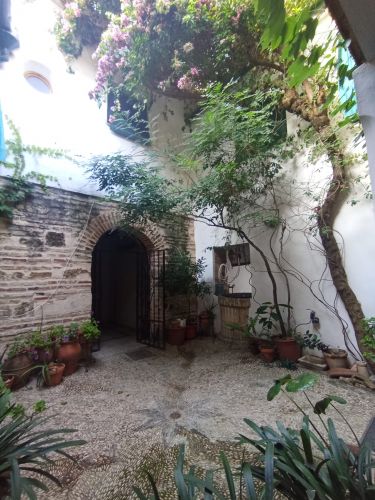 CASA SEÑORIAL EN PLENO CASCO HISTÓRICO DE CÓRDOBA