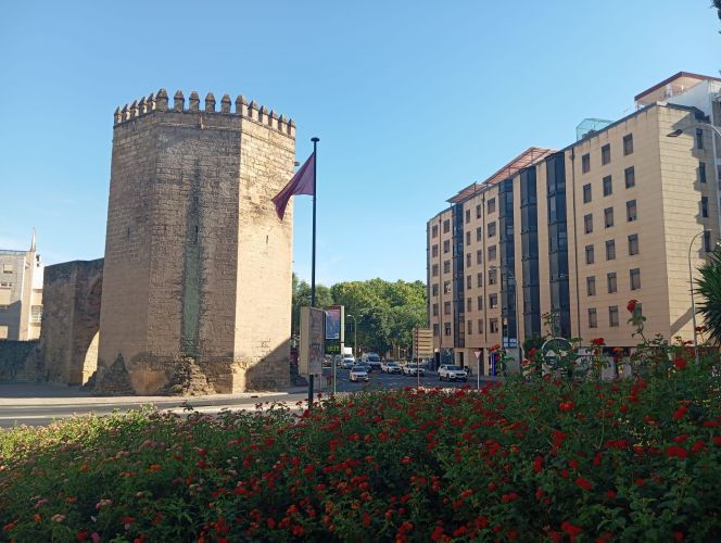 ÁTICO EN ALQUILER JUNTO A TORRE MAR MUERTA