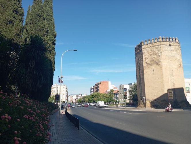 ÁTICO EN ALQUILER JUNTO A TORRE MAR MUERTA