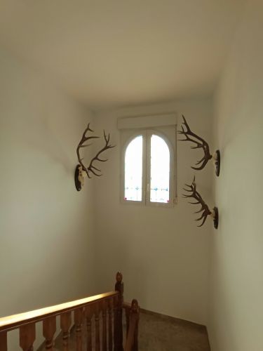 EXCLUSIVO CHALET CON VISTAS